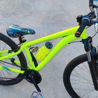 bicicletta ragazzo 12 anni