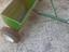 Immagine 2