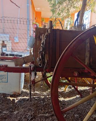 traino per cavallo 