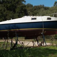 Piviere barca a vela