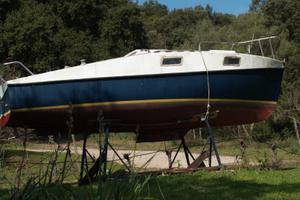 Piviere barca a vela