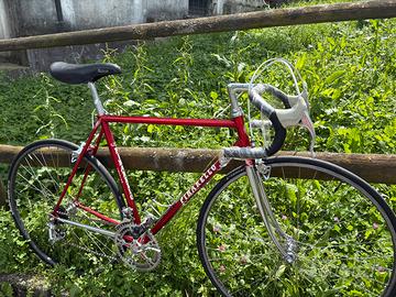 Pinarello pantografata