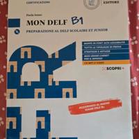 delf b1