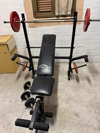 anche separati per allenare petto e gambe