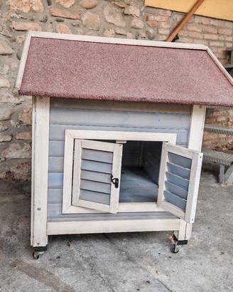casetta per cani