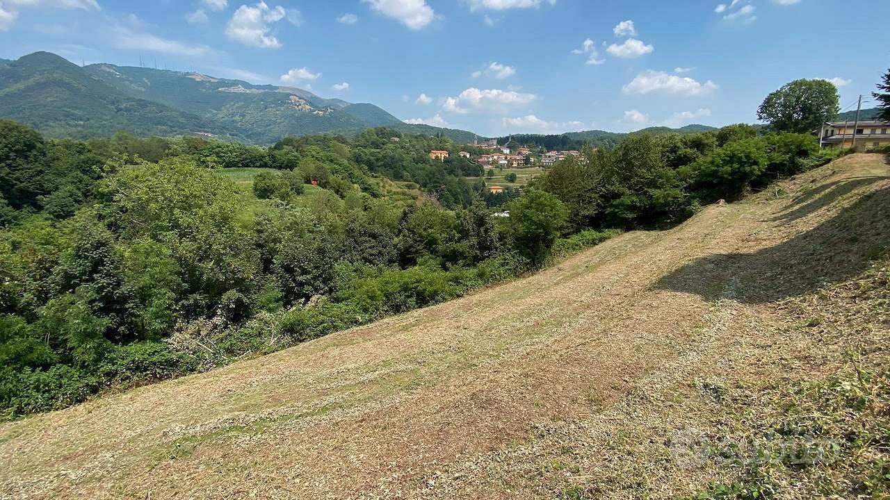 Terreno Residenziale Caprino Bergamasco - Altro