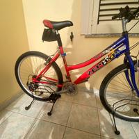 Bicicletta usata 26
