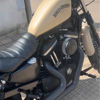 CARROZZERIA DESERT 883 IRON 2014