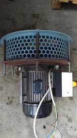 Biotrituratore foglie peruzzo frantoio