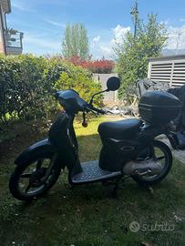 scoter scarabeo 50scooter 