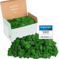 Muschio stabilizzato