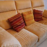 Due divani in alcantara