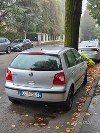 Polo grigia