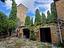 Immagine 7