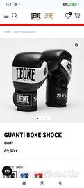 Guantoni professionali Leone 10oz