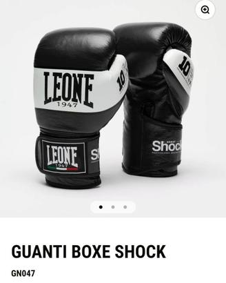Guantoni professionali Leone 10oz