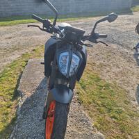 ktm duke 2023