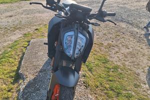 ktm duke 2023