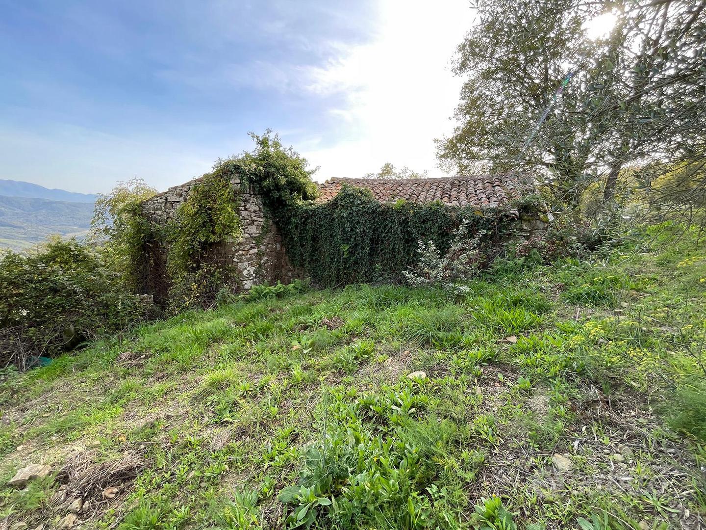 Terreno agricolo e fabbricato - Vista 3