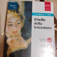 Il bello della Letteratura