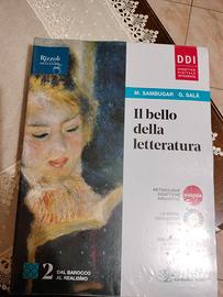 Il bello della Letteratura