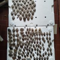 Stock transistor nuovi