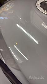 serbatoio Speed triple 