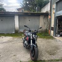 Benelli bn302s 2021 (leggi desc)