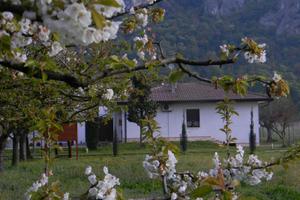 Villa bifamiliare con parco e annesso rustico