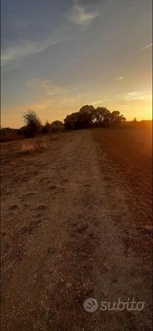 Terreno agricolo