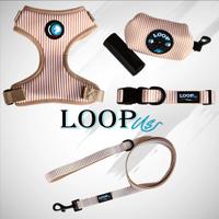 Set accessori da passeggio per cani