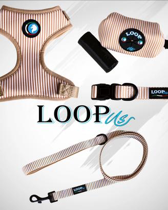 Set accessori da passeggio per cani