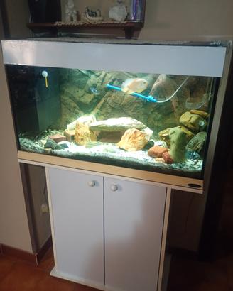 acquario ferplast
