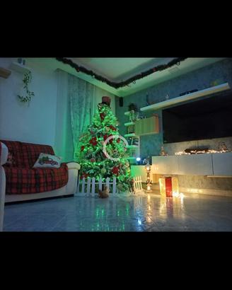 albero di Natale 