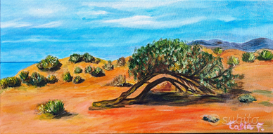 Ginepro in Sardegna, Dune di Piscinas