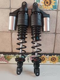 ZONTES 368 G  Ammortizzatori Nuovi
