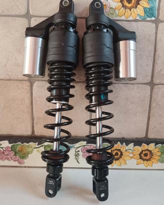 ZONTES 368 G  Ammortizzatori Nuovi
