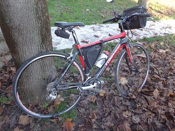 Bici Torpado carbonio