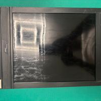 Chassis per pellicole 8x10”