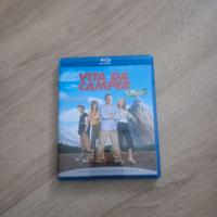 Blu-ray Vita Da Camper