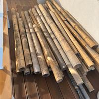 Canne bamboo di varie dimensioni