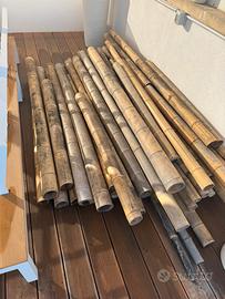 Canne bamboo di varie dimensioni