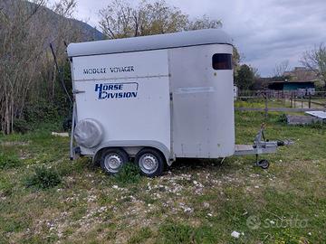 trailer trasporto cavalli 
