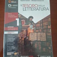 libro il tesoro della letteratura 