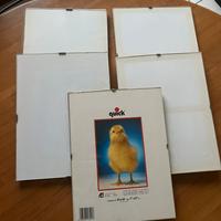 Portafoto n.5 in vetro con ganci 18x24