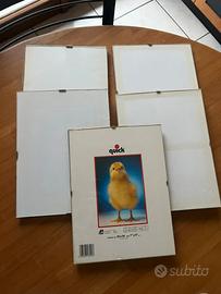 Portafoto n.5 in vetro con ganci 18x24