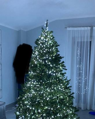 Albero di natale