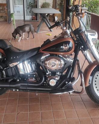 Fat boy serie anniversario 105°