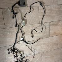 Rapid bike evo+autotune zx10r 2017