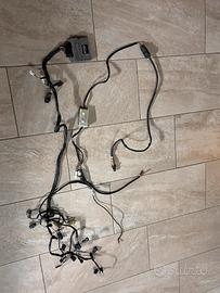 Rapid bike evo+autotune zx10r 2017